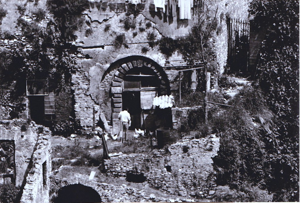 Una curiosità: quando sotto via delle Mole c'era un "gallinaio" (Foto del 19 maggio 1982).